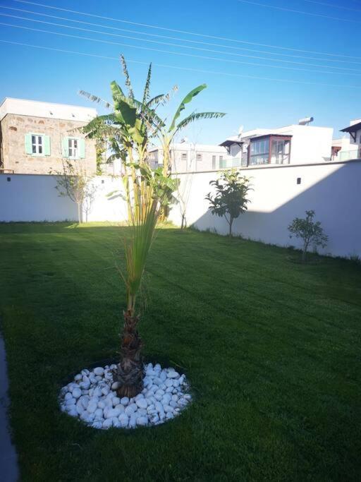 300m To 2 Bedroom Upstairs Flat With Pool - Yeni Duenya B2 Apartment Bodrum